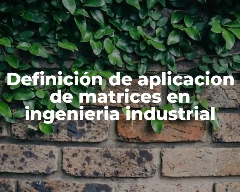 Definición de aplicacion de matrices en ingenieria industrial