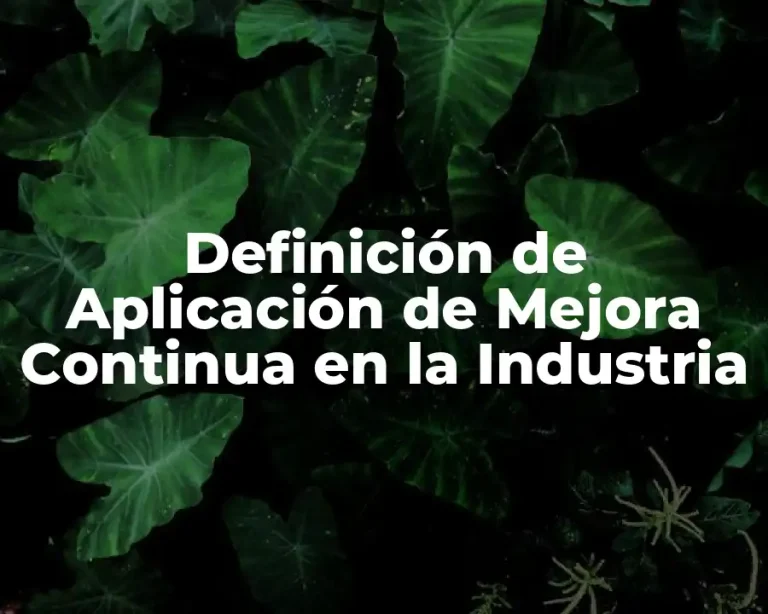 Definición de Aplicación de Mejora Continua en la Industria