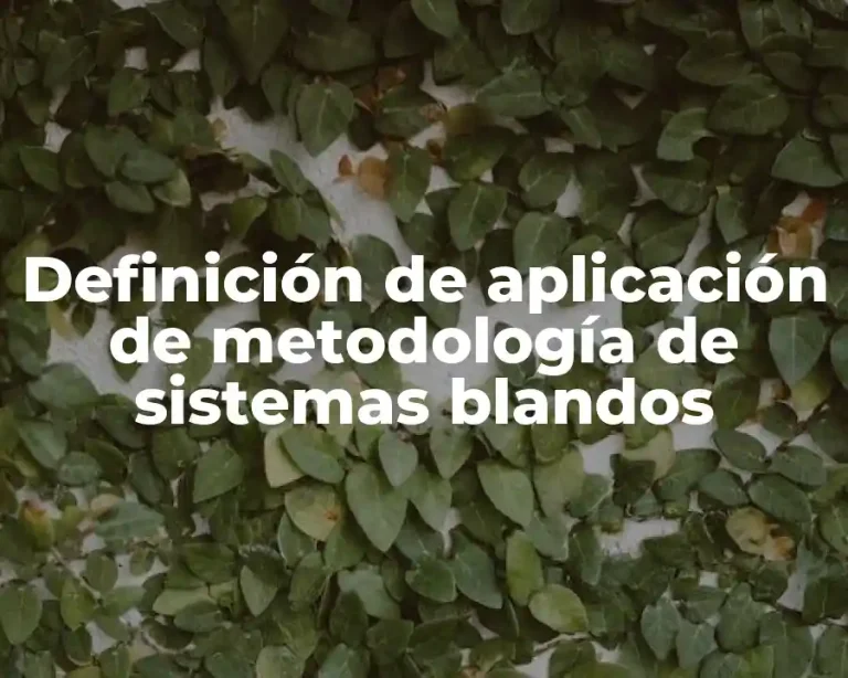 Definición de aplicación de metodología de sistemas blandos
