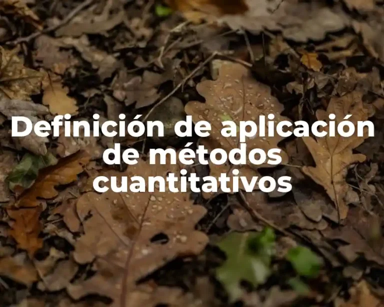 Definición de aplicación de métodos cuantitativos