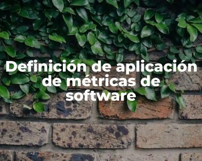 Definición de aplicación de métricas de software