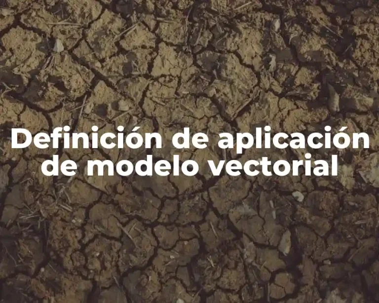 Definición de aplicación de modelo vectorial