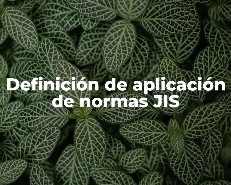 Definición de aplicación de normas JIS