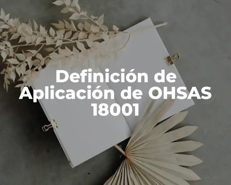 Definición de Aplicación de OHSAS 18001