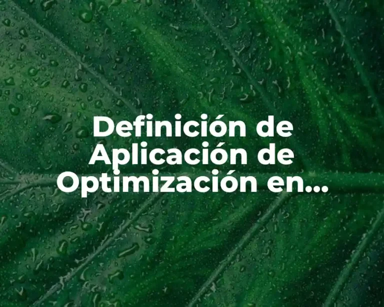 Definición de Aplicación de Optimización en Cálculo Diferencial