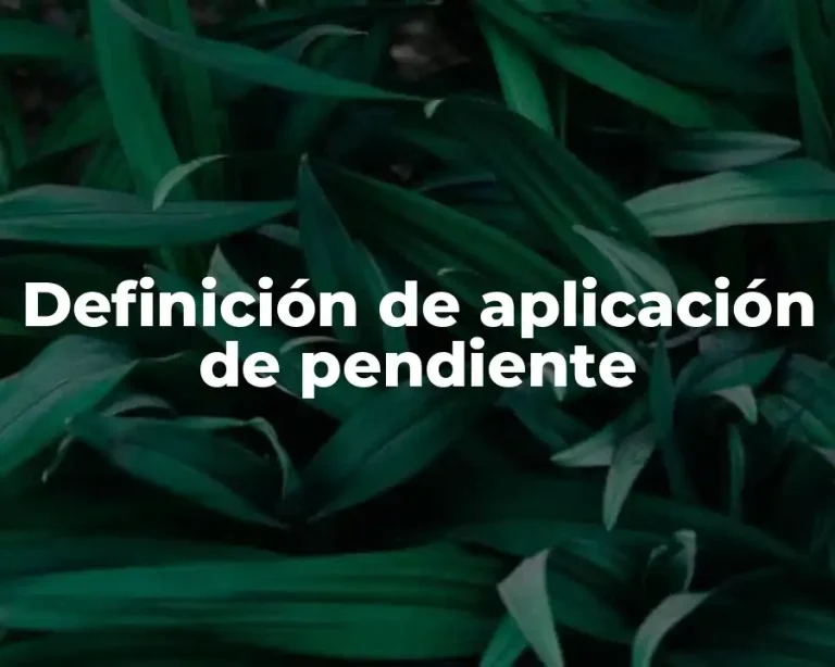 Definición de aplicación de pendiente