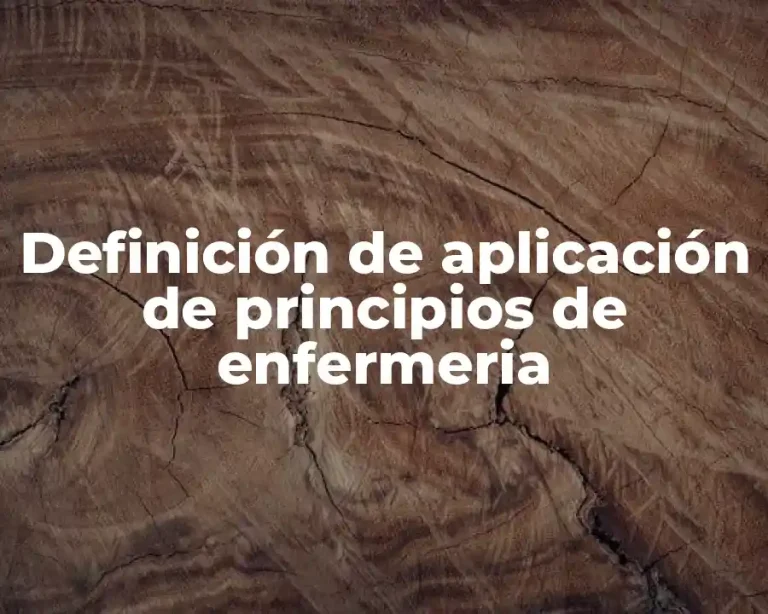 Definición de aplicación de principios de enfermeria
