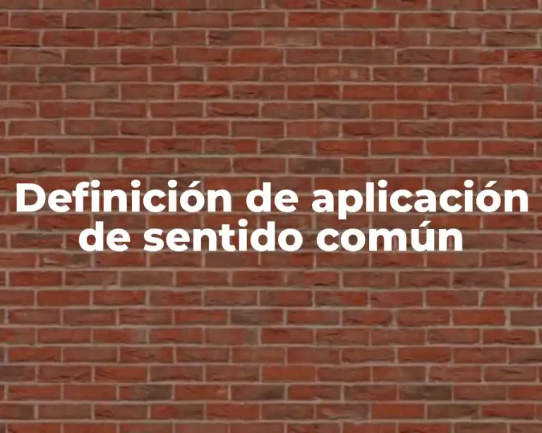 Definición de aplicación de sentido común