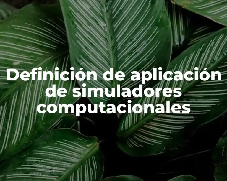Definición de aplicación de simuladores computacionales