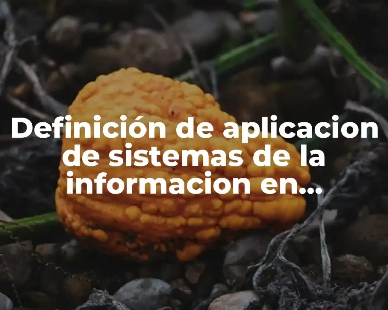 Definición de aplicacion de sistemas de la informacion en informatica