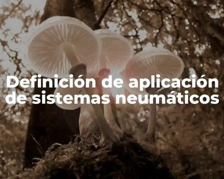 Definición de aplicación de sistemas neumáticos