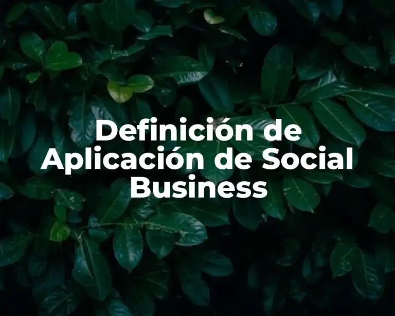 Definición de Aplicación de Social Business