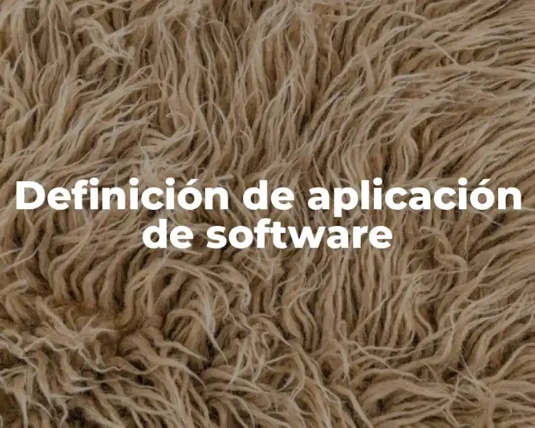 Definición de aplicación de software