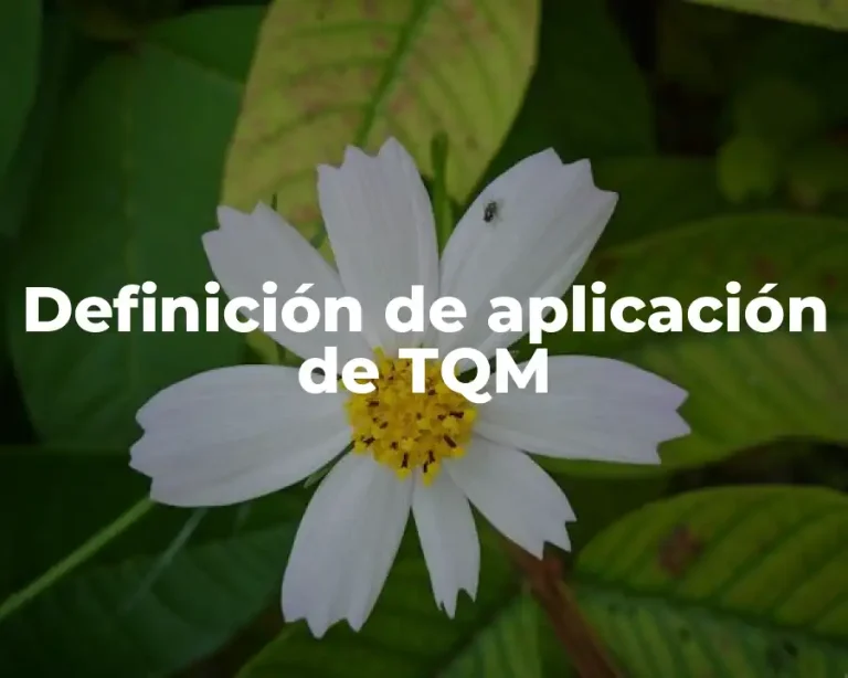 Definición de aplicación de TQM