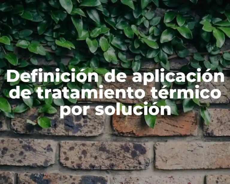 Definición de aplicación de tratamiento térmico por solución