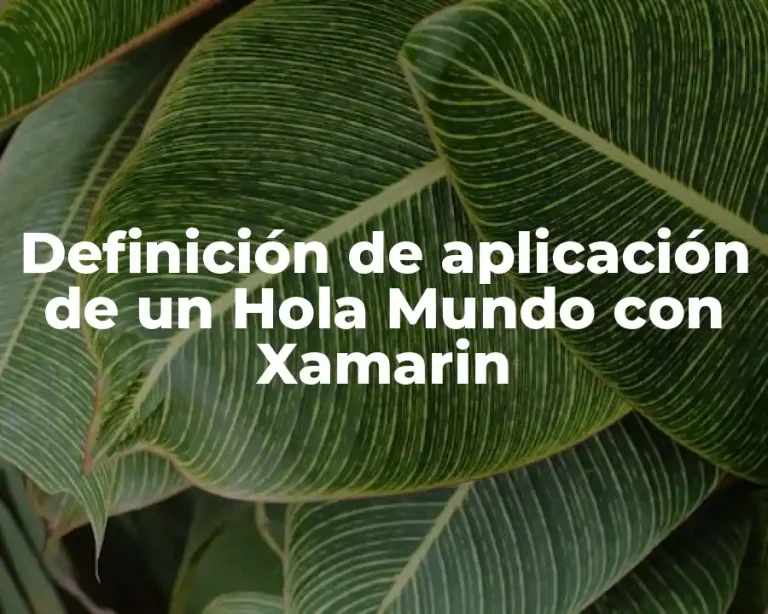Definición de aplicación de un Hola Mundo con Xamarin