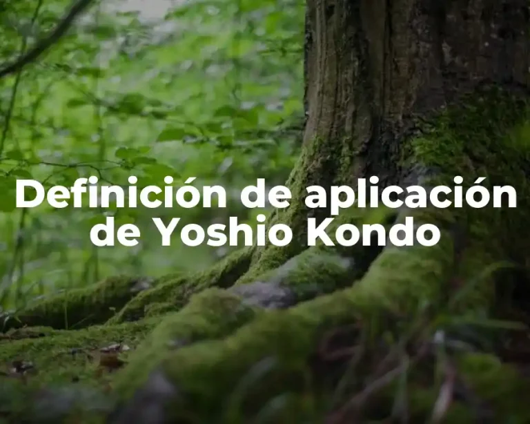 Definición de aplicación de Yoshio Kondo
