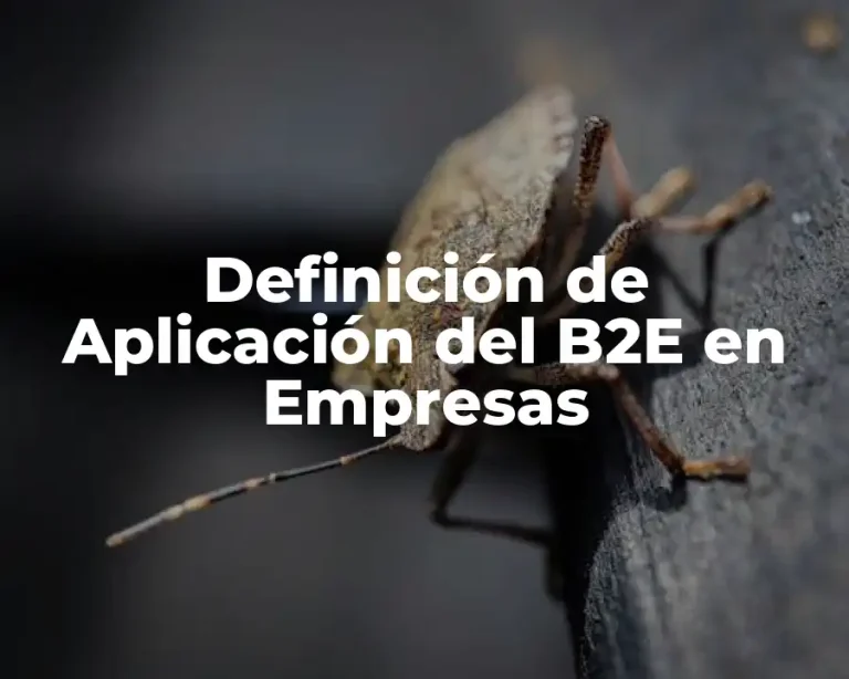 Definición de Aplicación del B2E en Empresas