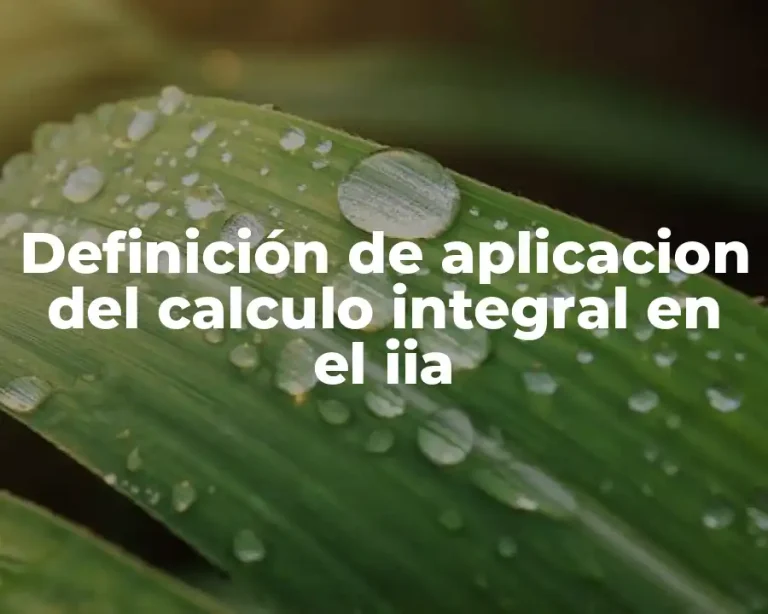 Definición de aplicacion del calculo integral en el iia
