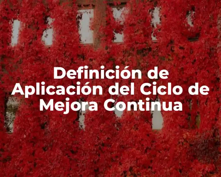 Definición de Aplicación del Ciclo de Mejora Continua