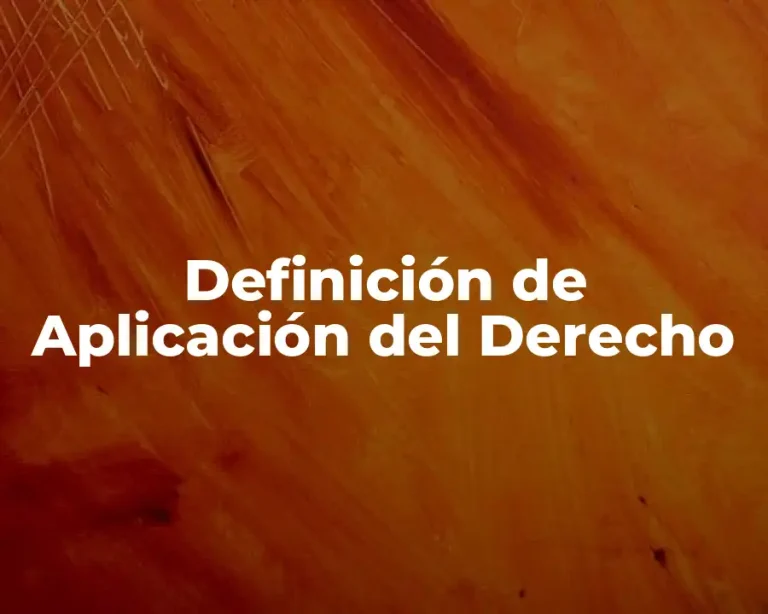 Definición de Aplicación del Derecho