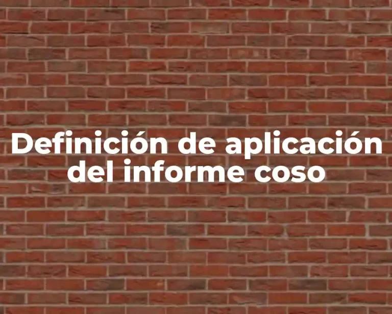 Definición de aplicación del informe coso