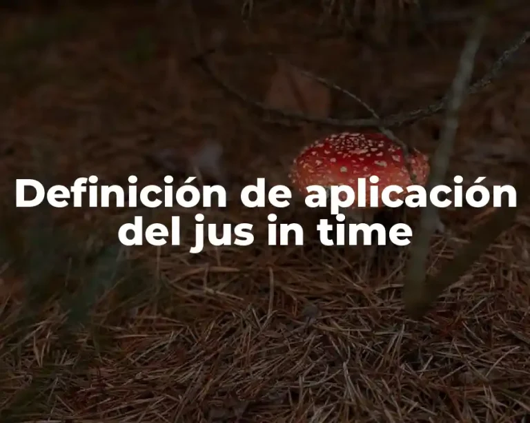 Definición de aplicación del jus in time