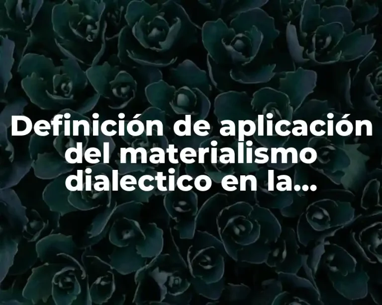Definición de aplicación del materialismo dialectico en la sociedad