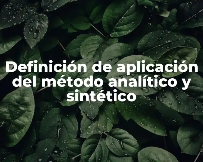 Definición de aplicación del método analítico y sintético