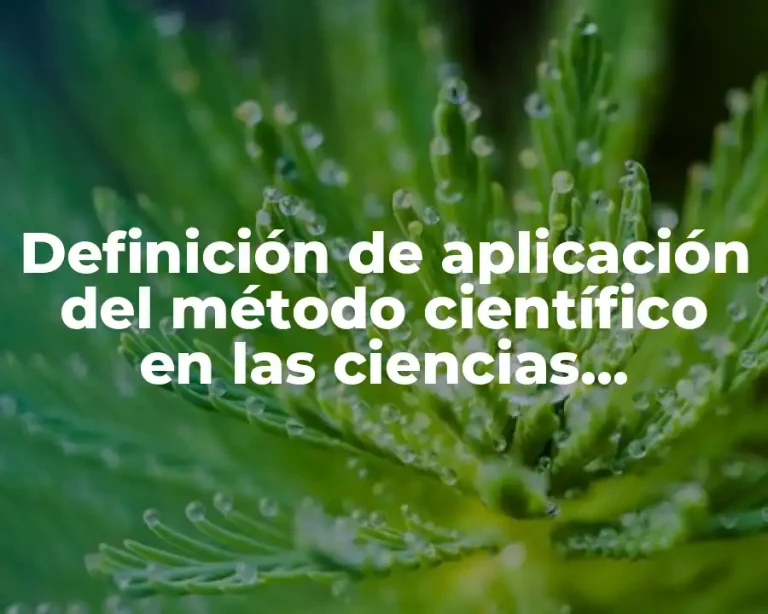 Definición de aplicación del método científico en las ciencias experimentales
