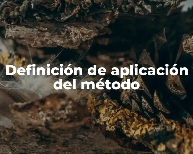 Definición de aplicación del método