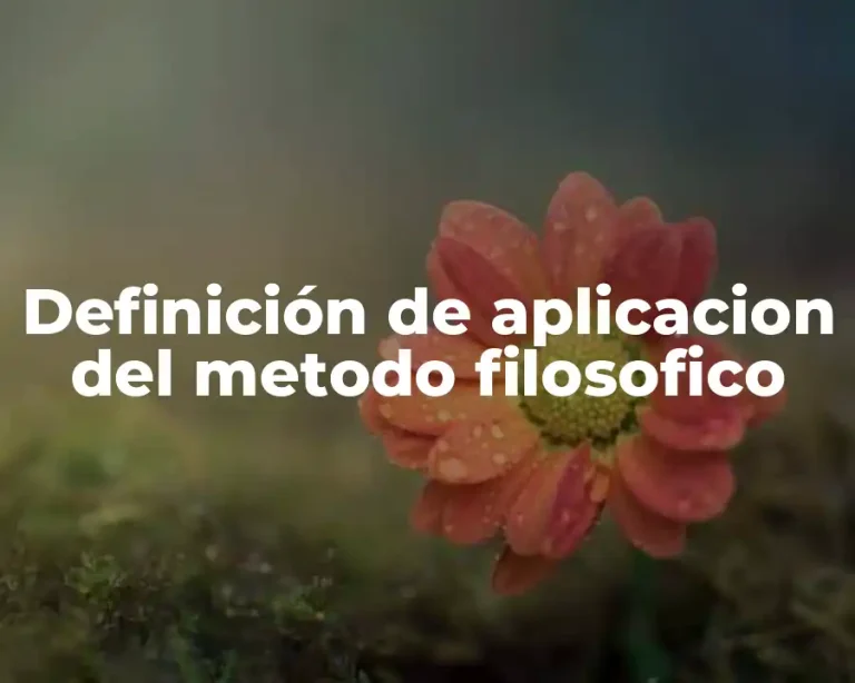 Definición de aplicacion del metodo filosofico