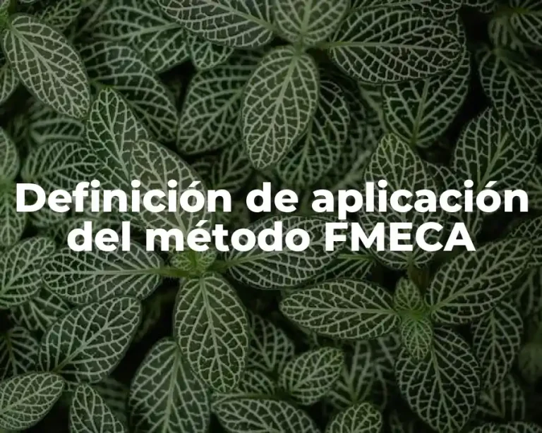 Definición de aplicación del método FMECA