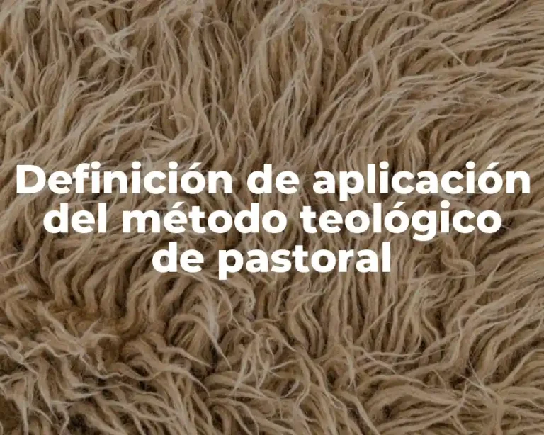 Definición de aplicación del método teológico de pastoral