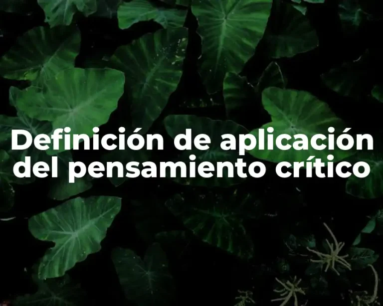 Definición de aplicación del pensamiento crítico