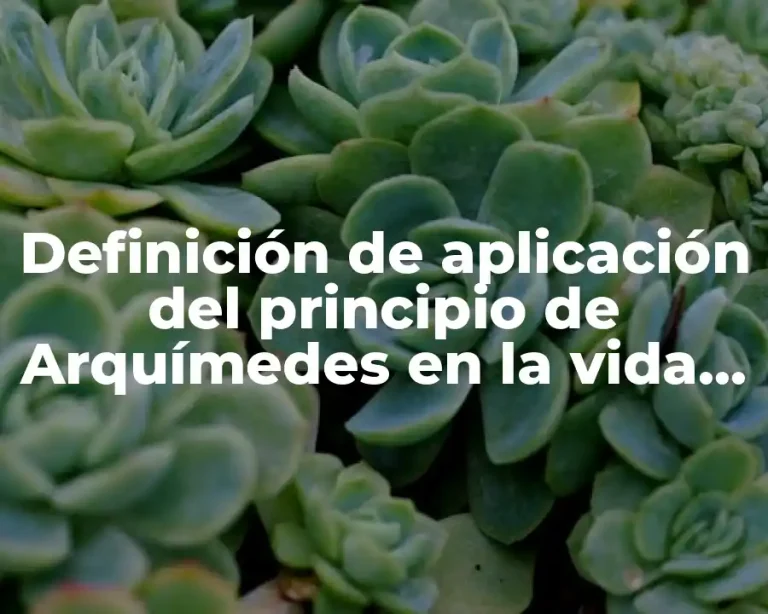 Definición de aplicación del principio de Arquímedes en la vida cotidiana