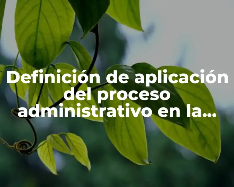 Definición de aplicación del proceso administrativo en la vida cotidiana