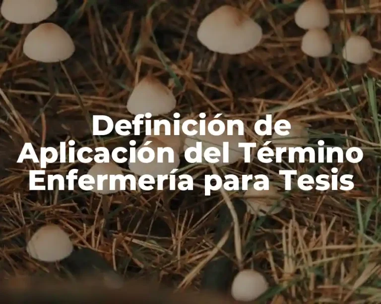 Definición de Aplicación del Término Enfermería para Tesis