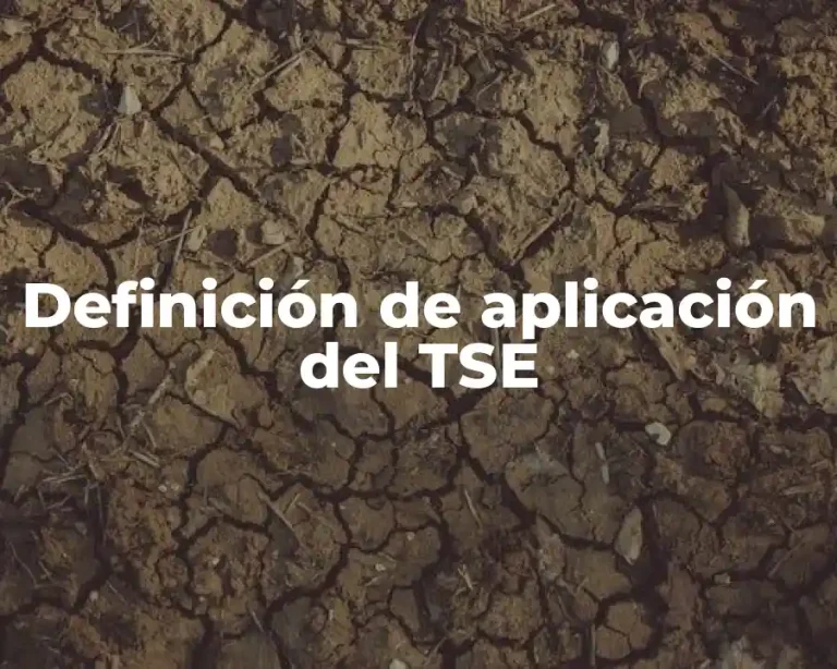Definición de aplicación del TSE