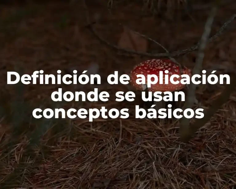 Definición de aplicación donde se usan conceptos básicos