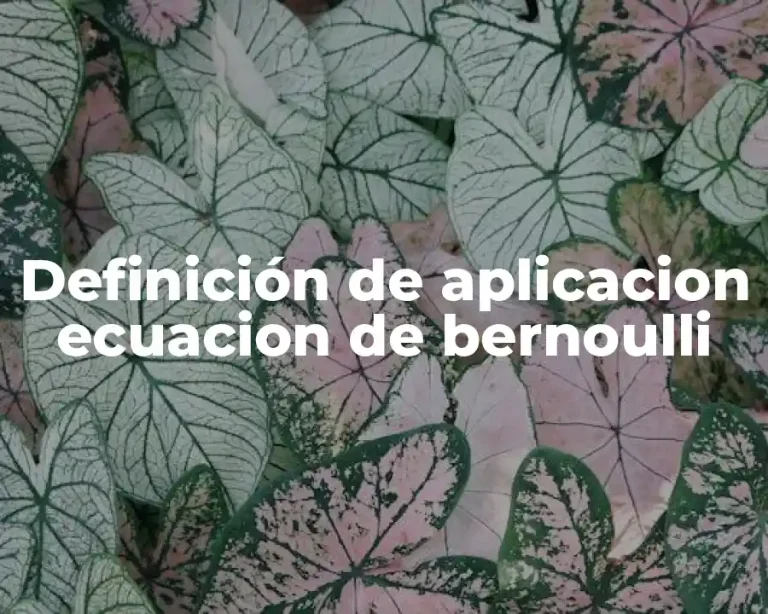 Definición de aplicacion ecuacion de bernoulli