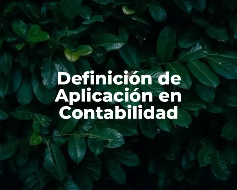 Definición de Aplicación en Contabilidad