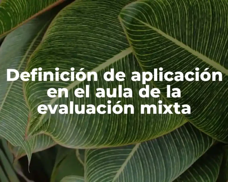 Definición de aplicación en el aula de la evaluación mixta