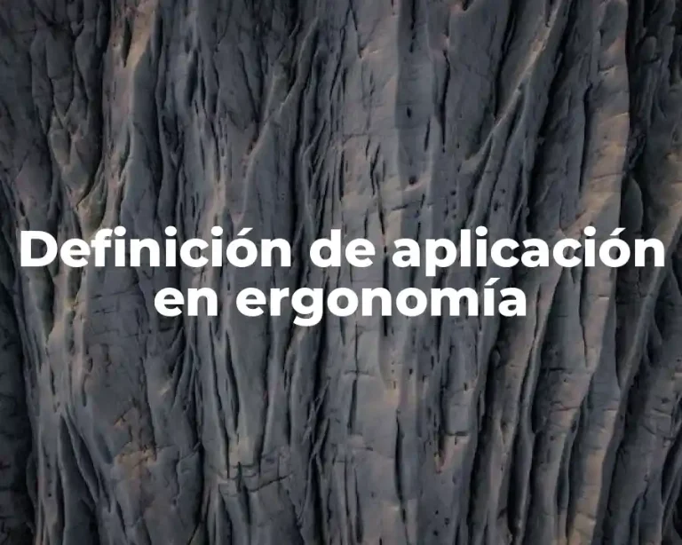Definición de aplicación en ergonomía