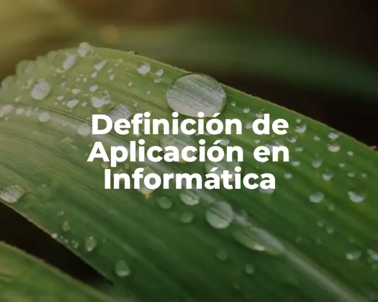 Definición de Aplicación en Informática