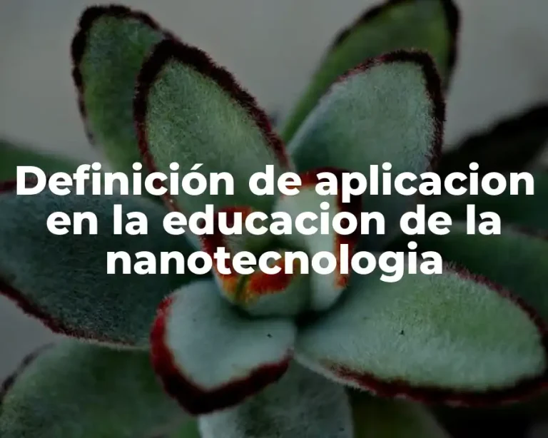 Definición de aplicacion en la educacion de la nanotecnologia