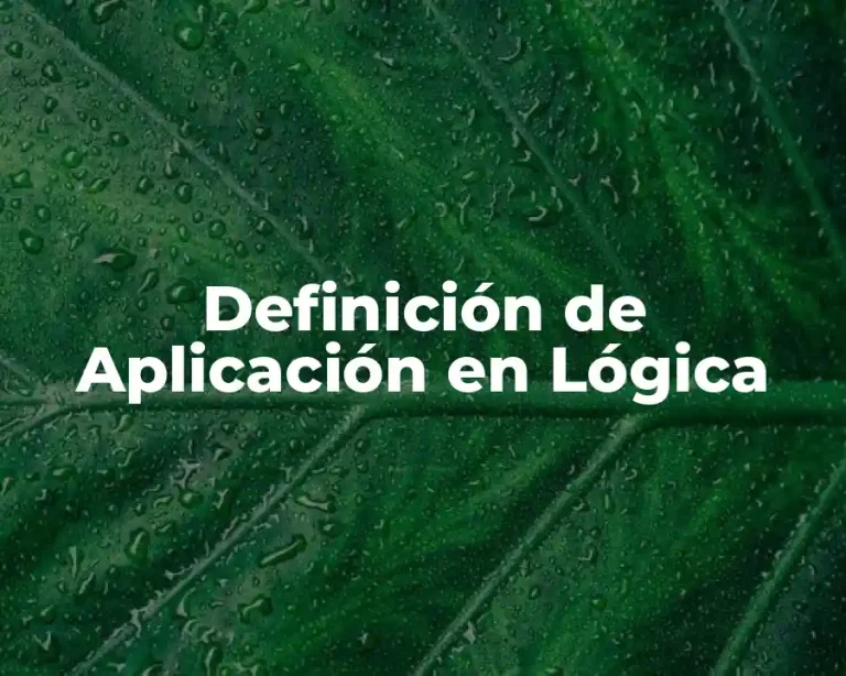 Definición de Aplicación en Lógica