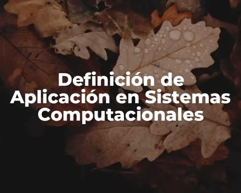 Definición de Aplicación en Sistemas Computacionales