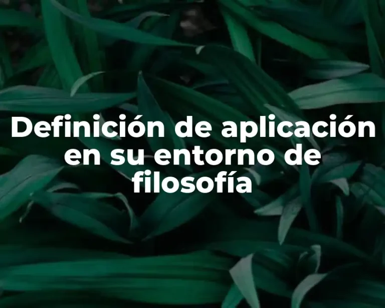 Definición de aplicación en su entorno de filosofía