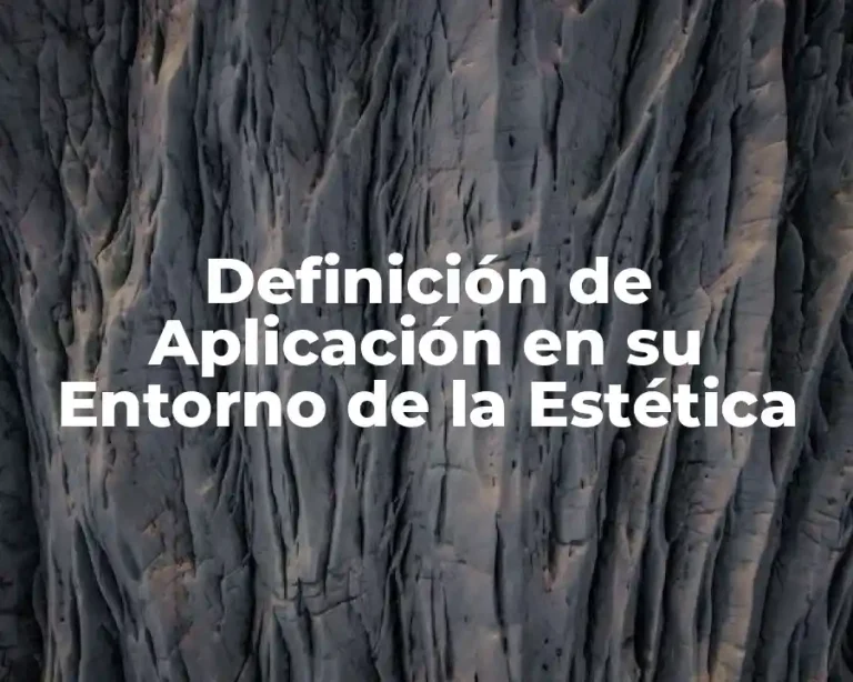 Definición de Aplicación en su Entorno de la Estética